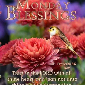 Meet your Posher, Joseph